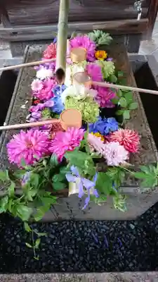 勝林寺の手水舎