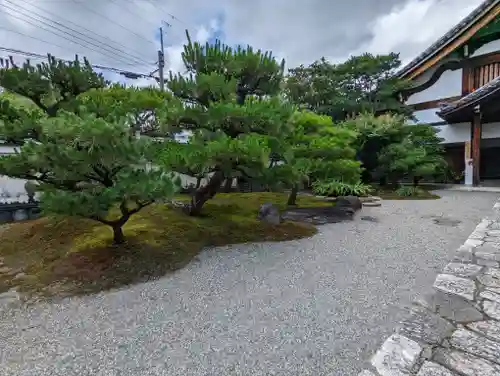 妙顯寺（妙顕寺）(京都府)