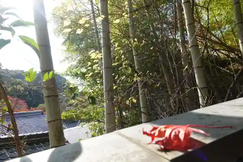 神峯山寺(大阪府)