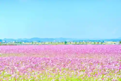 浄土寺(兵庫県)