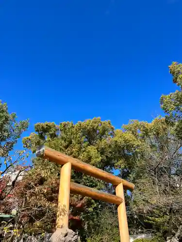 堀越神社の鳥居