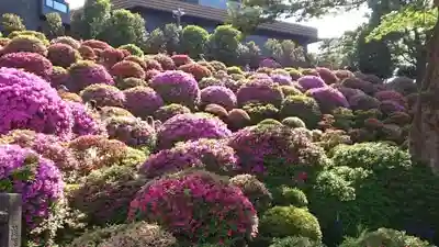 根津神社(東京都)