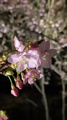 東寺（教王護国寺）(京都府)