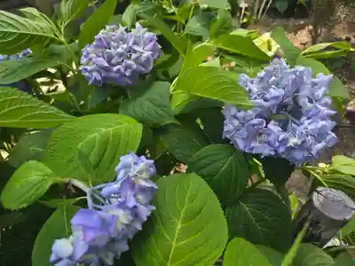 華蔵院(奈良県)