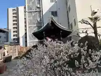 持明院(大阪府)