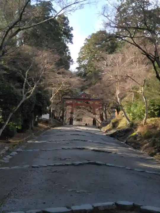 日吉大社(滋賀県)