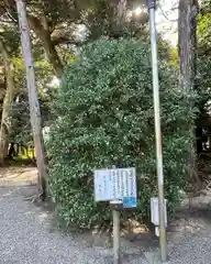 息栖神社の自然