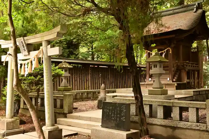 甲斐國一宮 浅間神社(山梨県)