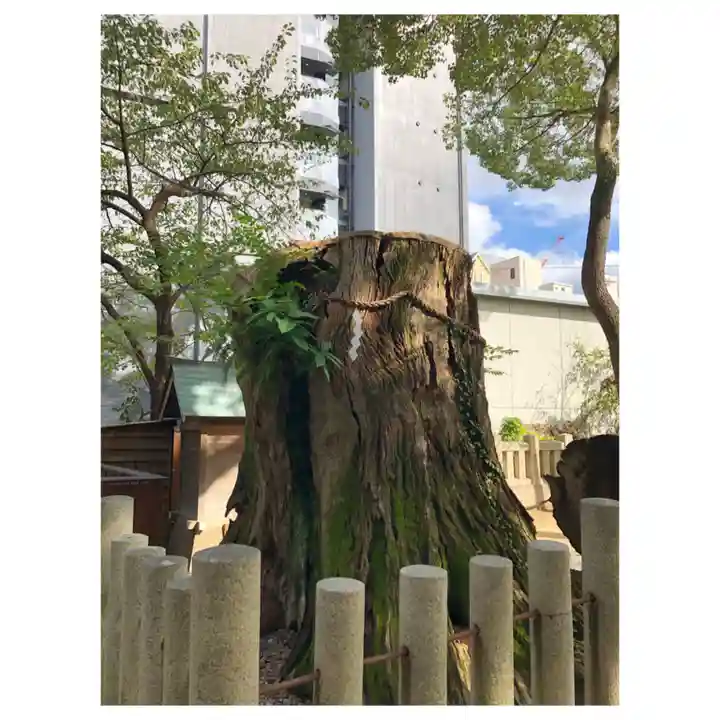 生田神社のその他建物
