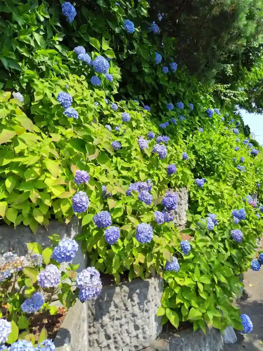 厚別神社(北海道)
