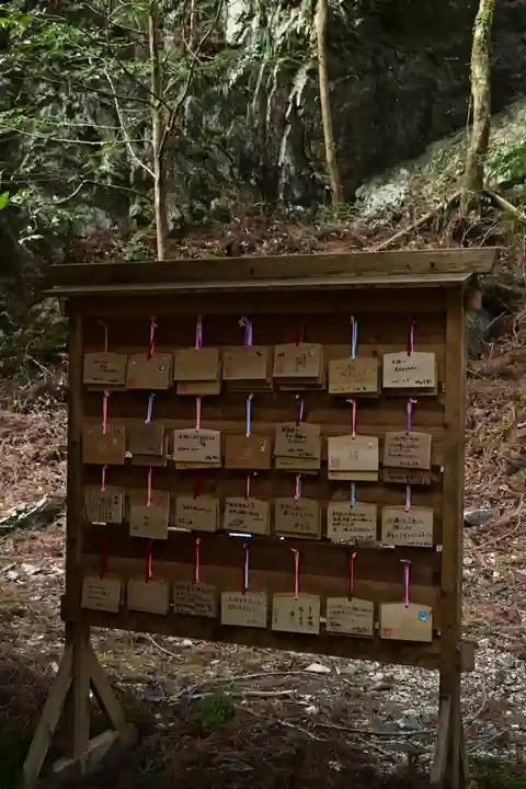 地主神社(桑の川の鳥居杉)(高知県)