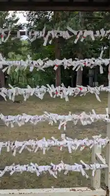 上川神社頓宮のおみくじ