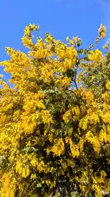 七百餘所神社 の自然