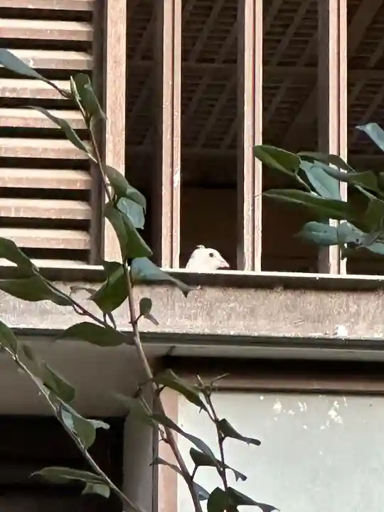 靖國神社(東京都)