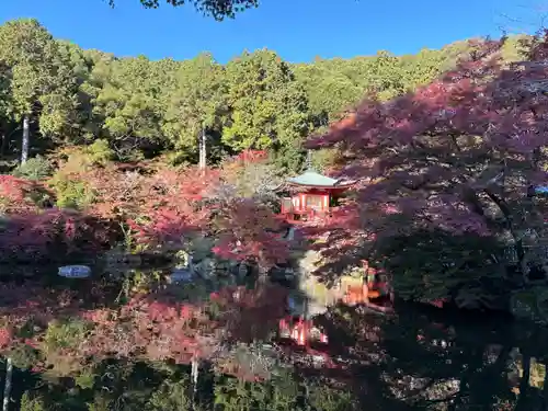 醍醐寺(京都府)