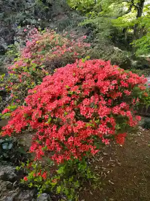 唐澤山神社(栃木県)