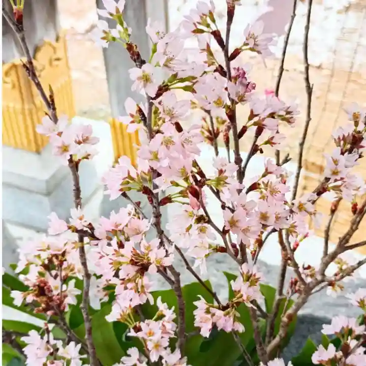 彌彦神社 (伊夜日子神社)の手水舎