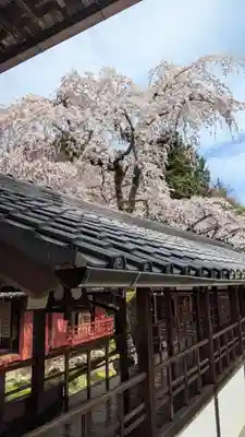 十輪寺(京都府)