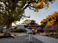 平野神社(京都府)