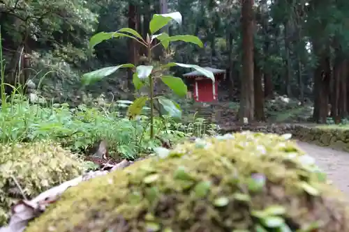 室生寺の自然