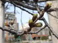 神明神社(福井県)