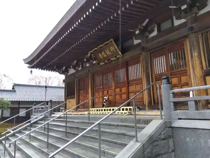 御誕生寺(猫寺)(福井県)