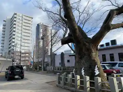 阿邪訶根神社のその他建物