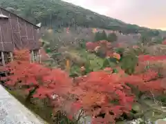 清水寺の景色