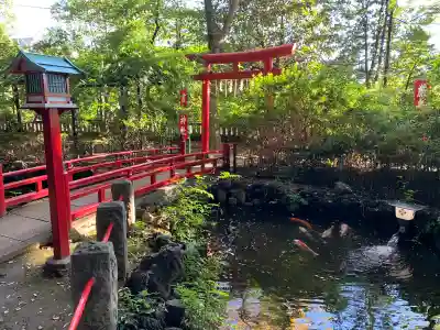 世田谷八幡宮の鳥居