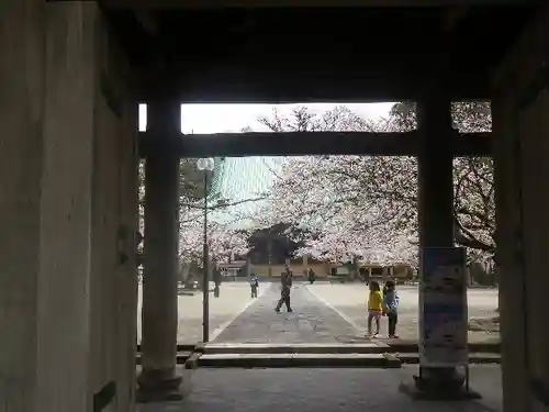 光明寺の山門・神門