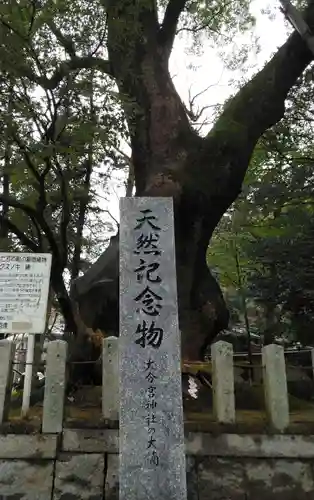 大分八幡宮の自然