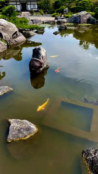 當麻寺 奥院の庭園