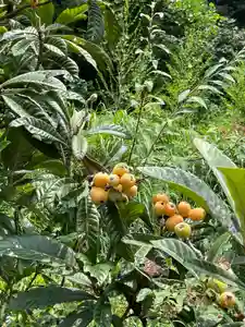 国上寺(新潟県)(2025年07月06日(日) 07時04分00秒投稿)