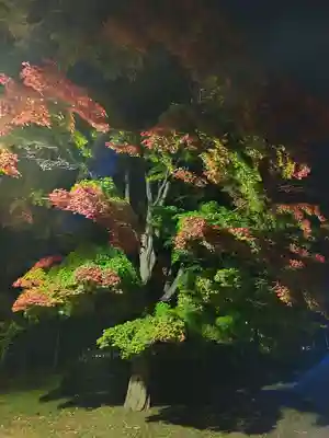 厚別神社(北海道)