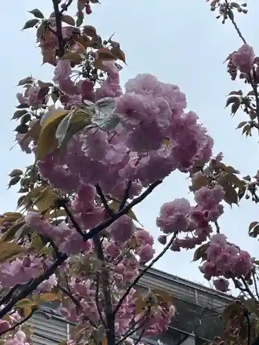 東神奈川熊野神社の{uncategorized: "未分類", other: "その他", undefined: "問題あり", building: "その他建物", grave: "お墓", sacred_gate: "鳥居", guardian: "狛犬", statue: "像", buddha: "仏像", history: "歴史", nature: "自然", garden: "庭園", animal: "動物", pagoda: "塔", temizu: "手水舎", mountain_gate: "山門・神門", sanctuary: "本殿・本堂", subordinate: "末社・摂社", art: "芸術", scenery: "景色", jizo: "地蔵", ema: "絵馬", goshuin: "御朱印", omikuji: "おみくじ", items: "授与品その他", amulet: "お守り", goshuincho: "御朱印帳", eats: "食事", festival: "お祭り", votive_dance: "神楽", shichigosan: "七五三参", wedding: "結婚式", experience: "体験その他", initially: "初詣", around: "周辺", anti_infection: "感染症対策"}