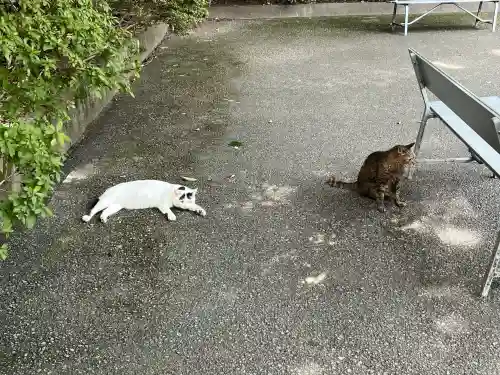 唐澤山神社(栃木県)