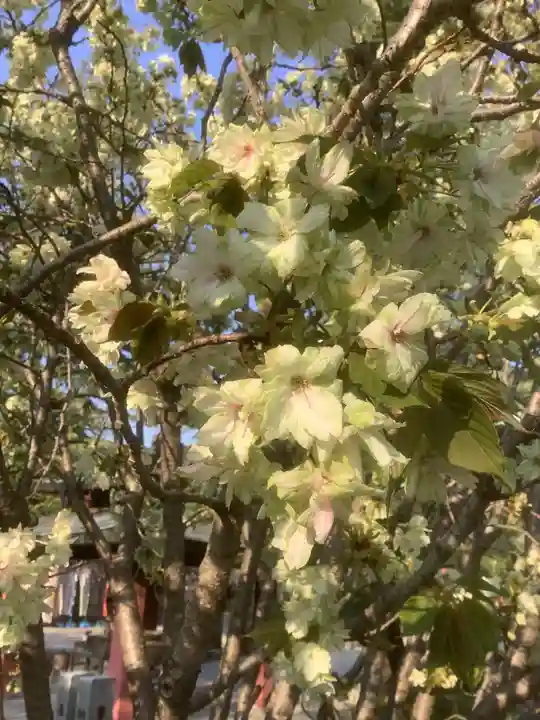 遍照院(愛知県)
