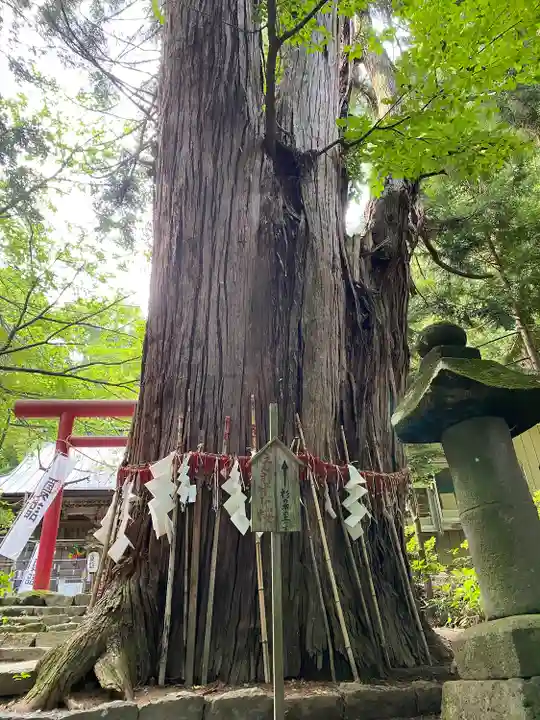 磐椅神社(福島県)