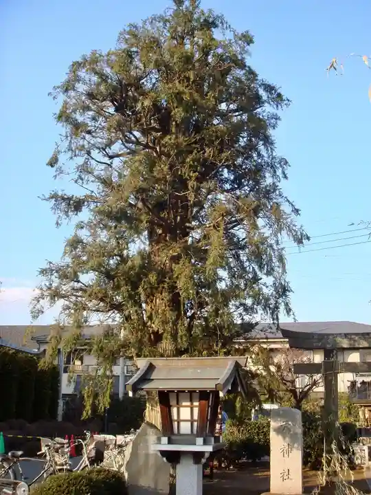 駒形神社の自然