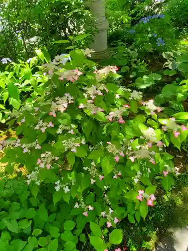長命寺(福島県)