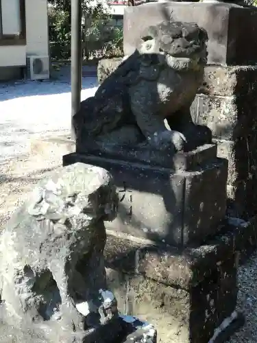 鷲宮神社の狛犬