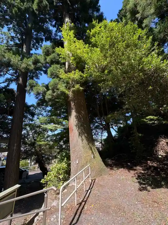 泉神社(滋賀県)