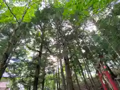 子檀倉宮(子檀嶺神社奥宮)(長野県)