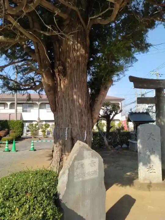 駒形神社(千葉県)