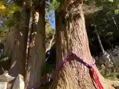 龍渕寺の建物その他