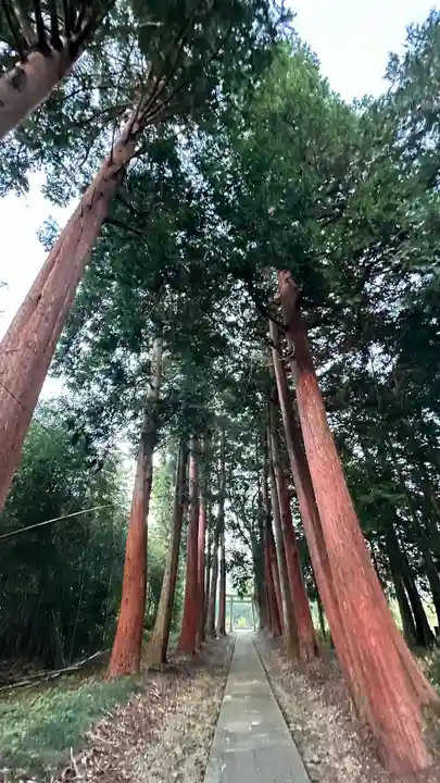 蘆井神社(兵庫県)