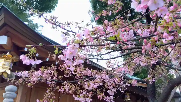 櫛田神社(福岡県)