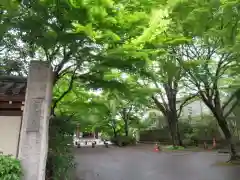 高円寺の建物その他