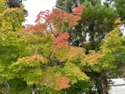伊勢の国 四天王寺の自然