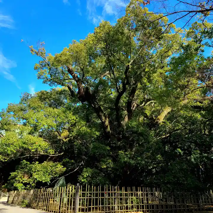浜松八幡宮(静岡県)